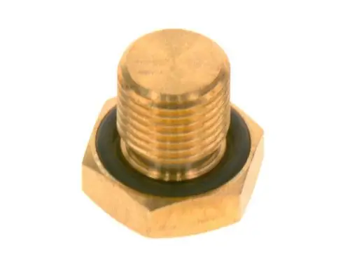 BOSCH-Stopfen-G1-4-mit-O-Ring-everp-8718586403 gallery number 1